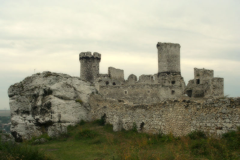 Zamek w Ogrodziencu
