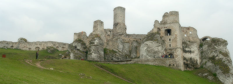 Zamek w Ogrodziencu
