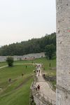 IMG_0461.jpg