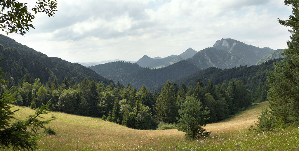 Panorama z okolic przełęczy Limierz