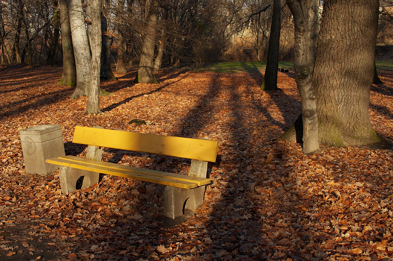 Park w Gliwicach
