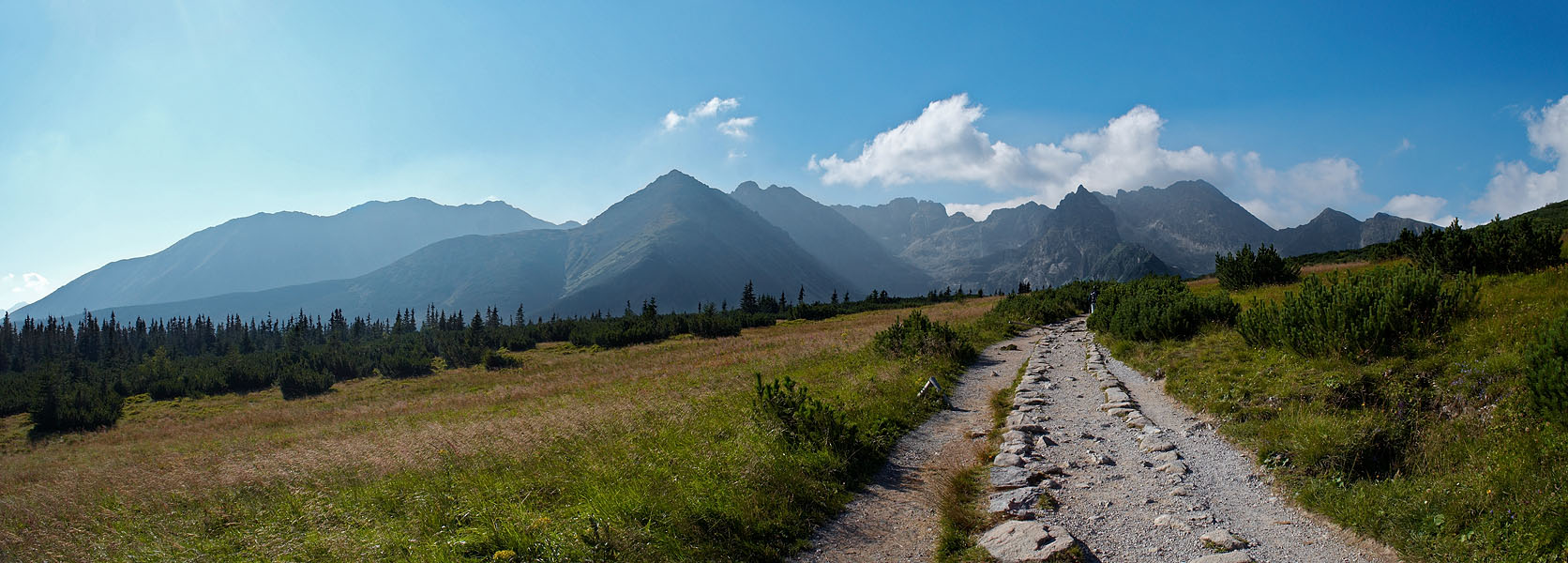 ku hali gąsienicowej :-)