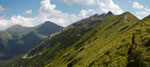 panoramiczne zdjęcie zadniego ornaku
